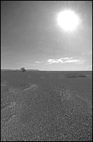 bataille_de_miraflores